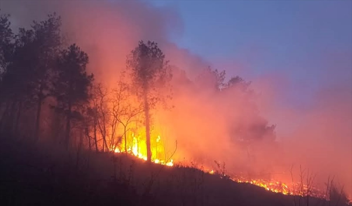 Hatay'ın Dörtyol ilçesinde ormanlık alanda çıkan yangın ekiplerin müdahalesiyle kontrol altına...