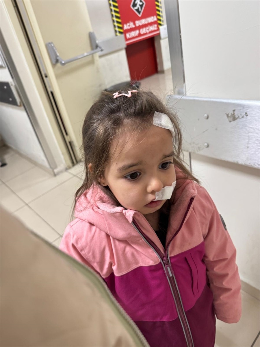 İzmir'in Karşıyaka ilçesinde, alışveriş merkezinde sahipsiz köpeğin saldırdığı 3 yaşındaki  Elif...