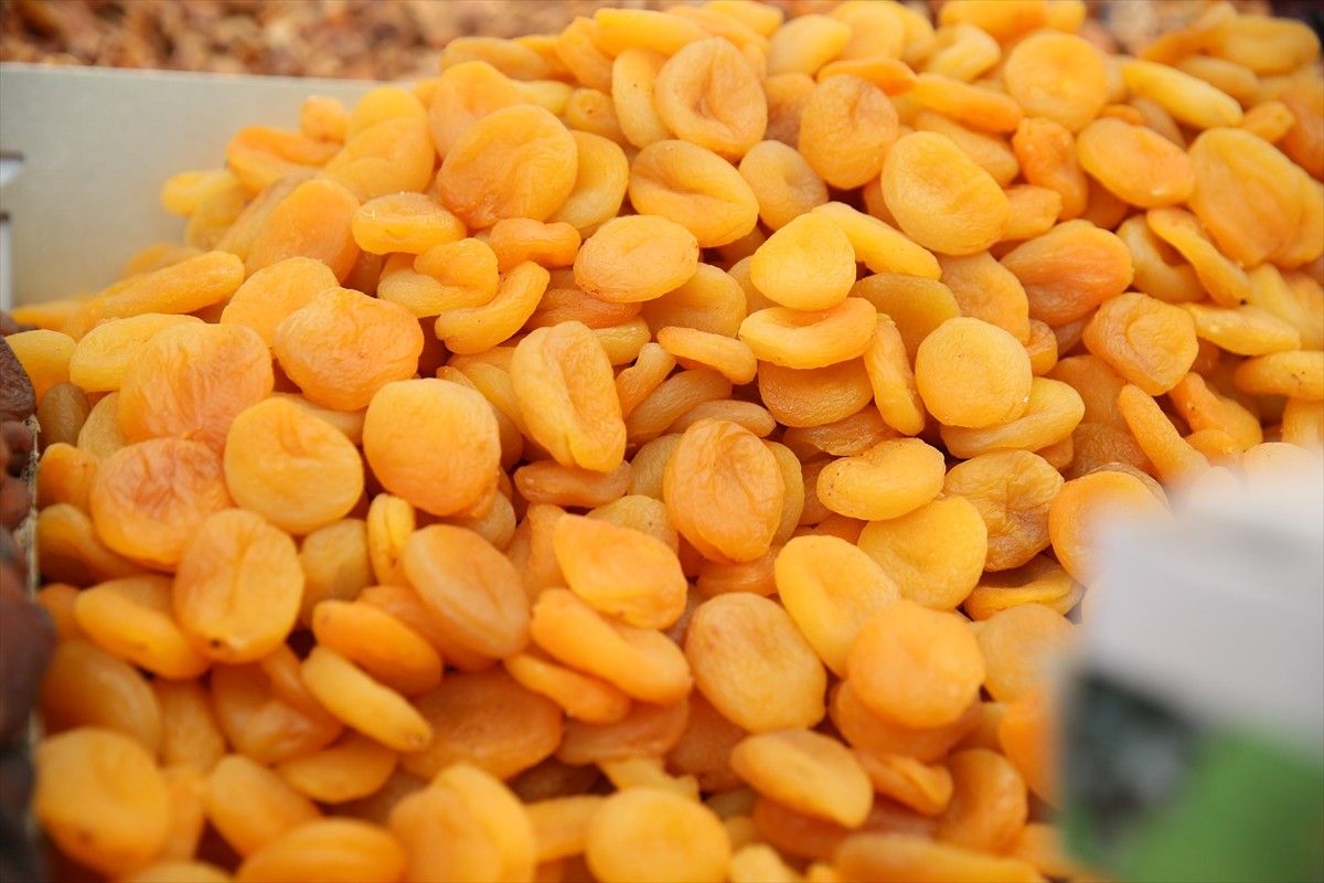 Malatya'da, Kahramanmaraş merkezli 6 Şubat 2023'teki depremlerden bu yana kent ekonomisinin can...