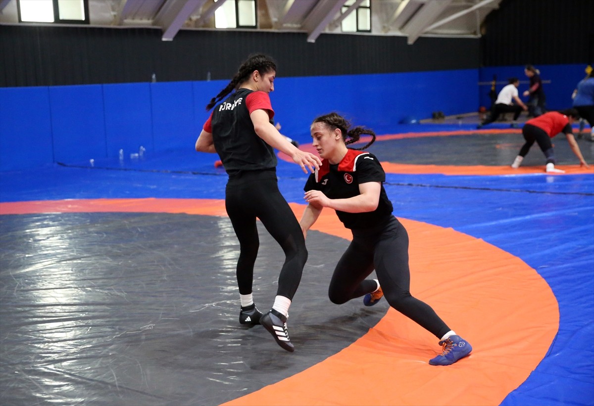 Milli güreşçi Selvi İlyasoğlu, yıldız ve gençlerdeki başarısını büyüklere taşıyarak Avrupa...