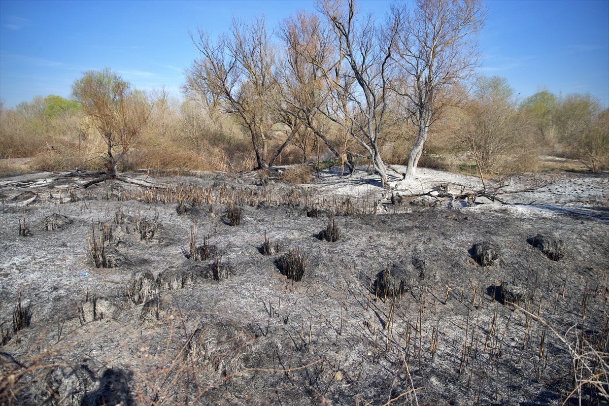 Osmaniye'deki Kastabala Kuş Cenneti'nde çıkan yangın ekiplerin müdahalesiyle söndürüldü.