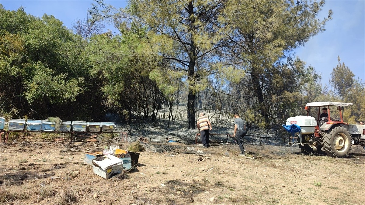 Osmaniye'nin Düziçi ilçesinde çıkan orman yangını kontrol altına alındı.