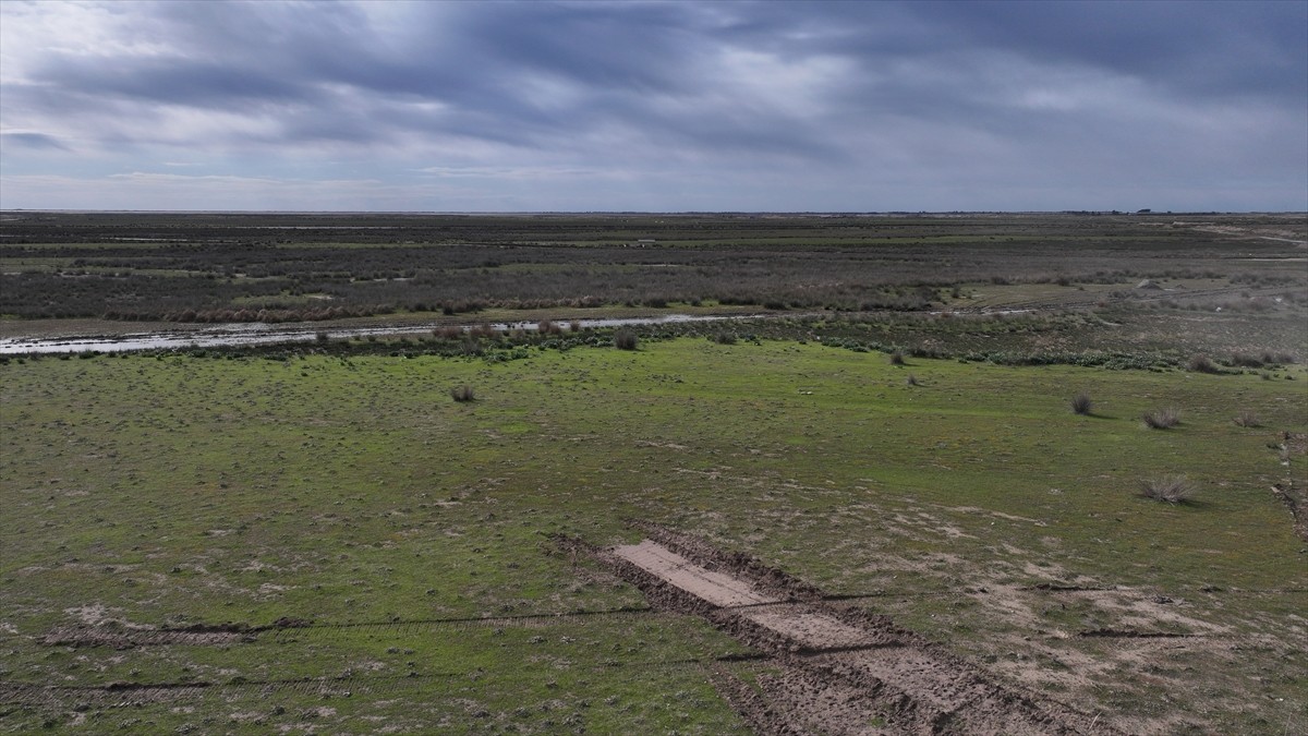 Tarım ve Orman Bakanlığı tarafından Adana'da kurulma çalışması süren Sera Tarıma Dayalı İhtisas...