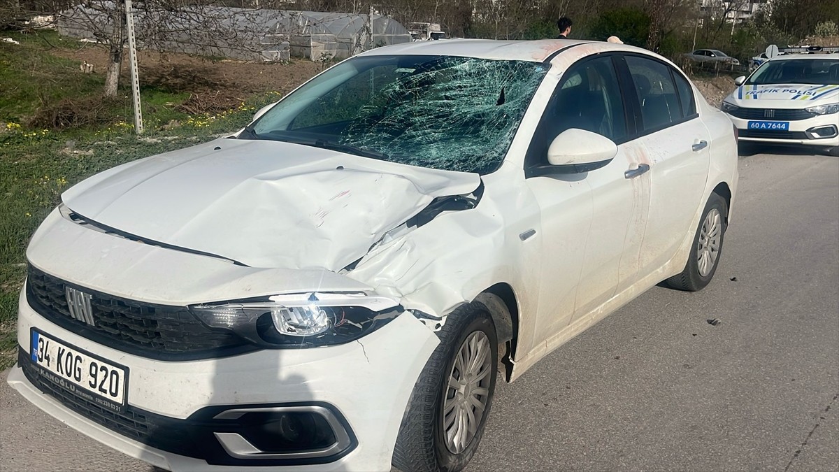 Tokat'ın Niksar ilçesinde otomobilin çarptığı 89 yaşındaki yaşlı kadın hayatını kaybetti. Kaza...