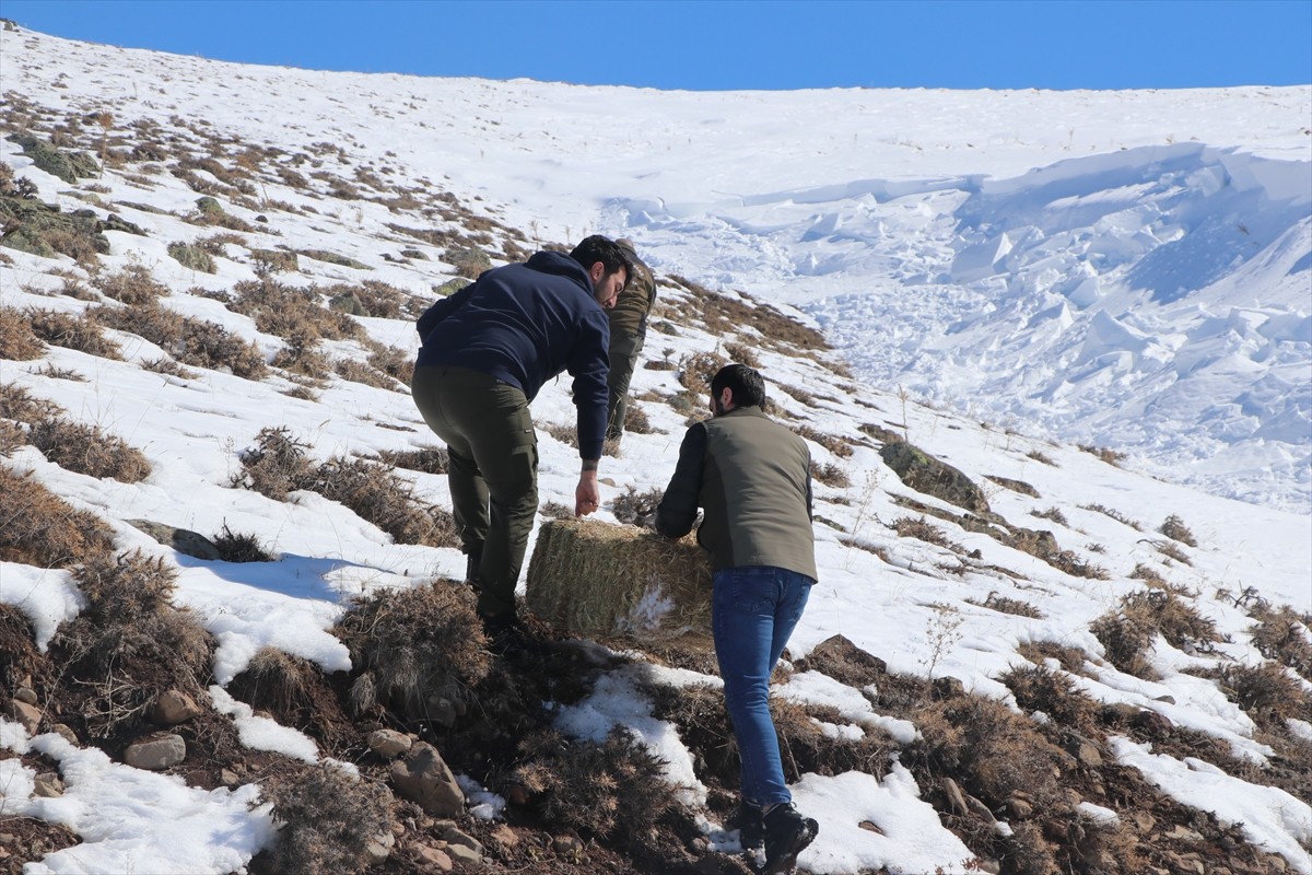 Türkiye'de kışın sert geçtiği Erzurum, Kars, Iğdır, Ardahan, Bayburt, Erzincan, Bingöl ve Ağrı'da...