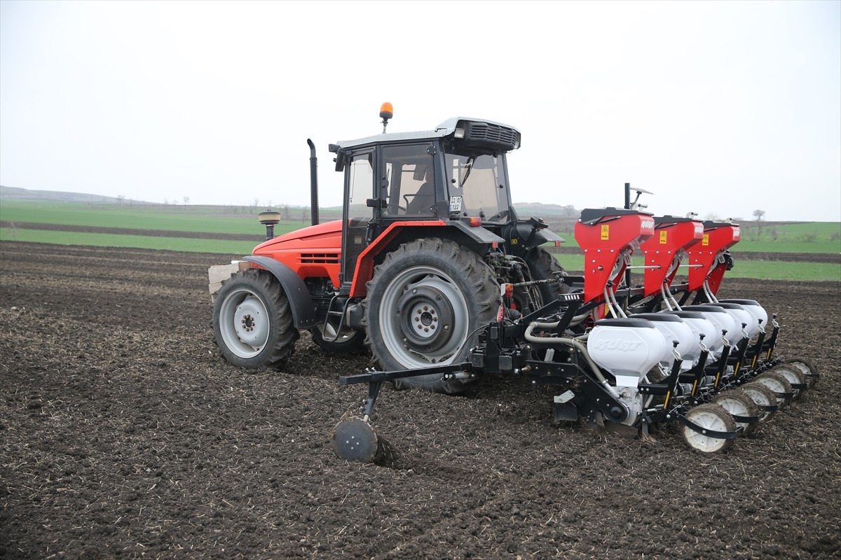 Türkiye'nin önemli ayçiçeği üretim merkezlerinden Edirne'de çiftçilere, bitkinin yaz aylarındaki...