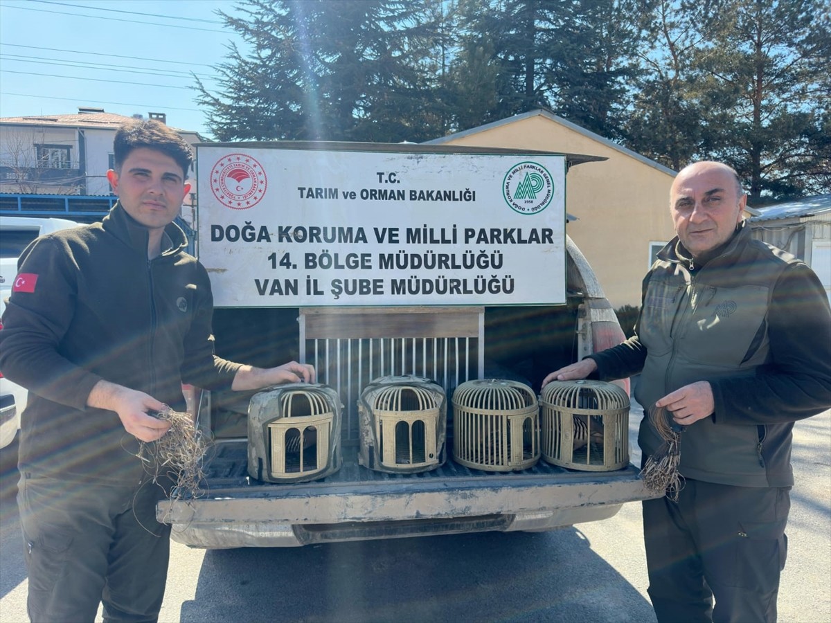 Van'ın Gürpınar ilçesinde kaçak avladıkları kekliklerle yakalanan 3 kişiye, 93 bin 149 lira ceza...