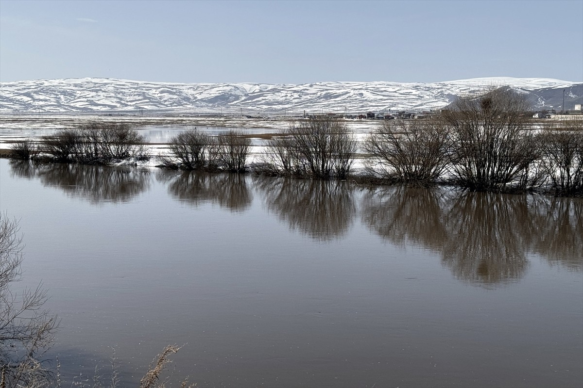 Yüzeyi buzla kaplı Kura Nehri, hava sıcaklığının artmasıyla tamamen çözüldü.