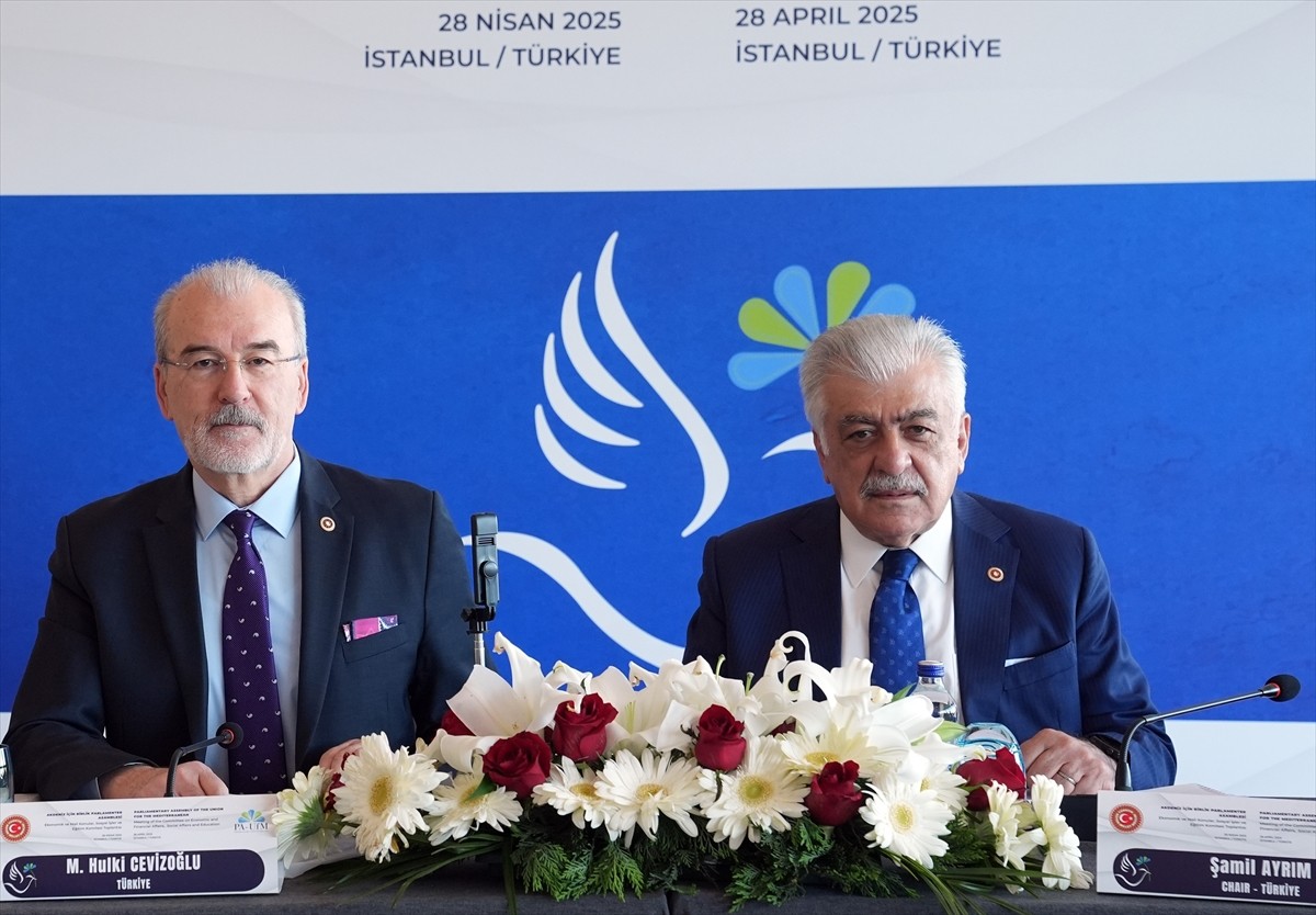 Akdeniz İçin Birlik Parlamenter Asamblesi (AİBPA) Ekonomik ve Mali Konular, Sosyal İşler ve Eğitim...