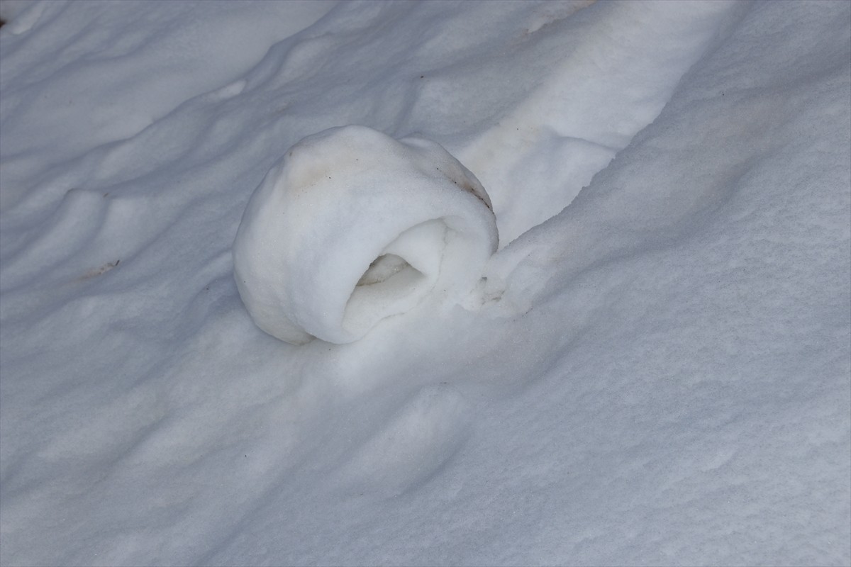 Amasya'nın Taşova ilçesinde doğada ender rastlanan bir doğa olayı olan kar ruloları tekrar...