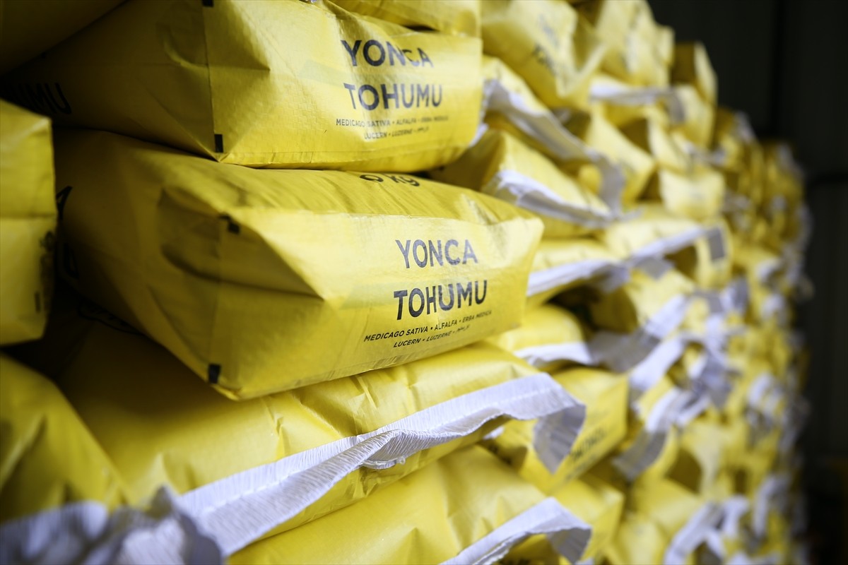 Bingöl Tarım ve Orman Müdürlüğü tarafından çiftçilere yüzde 70 hibeli mısır ve yonca tohumu...