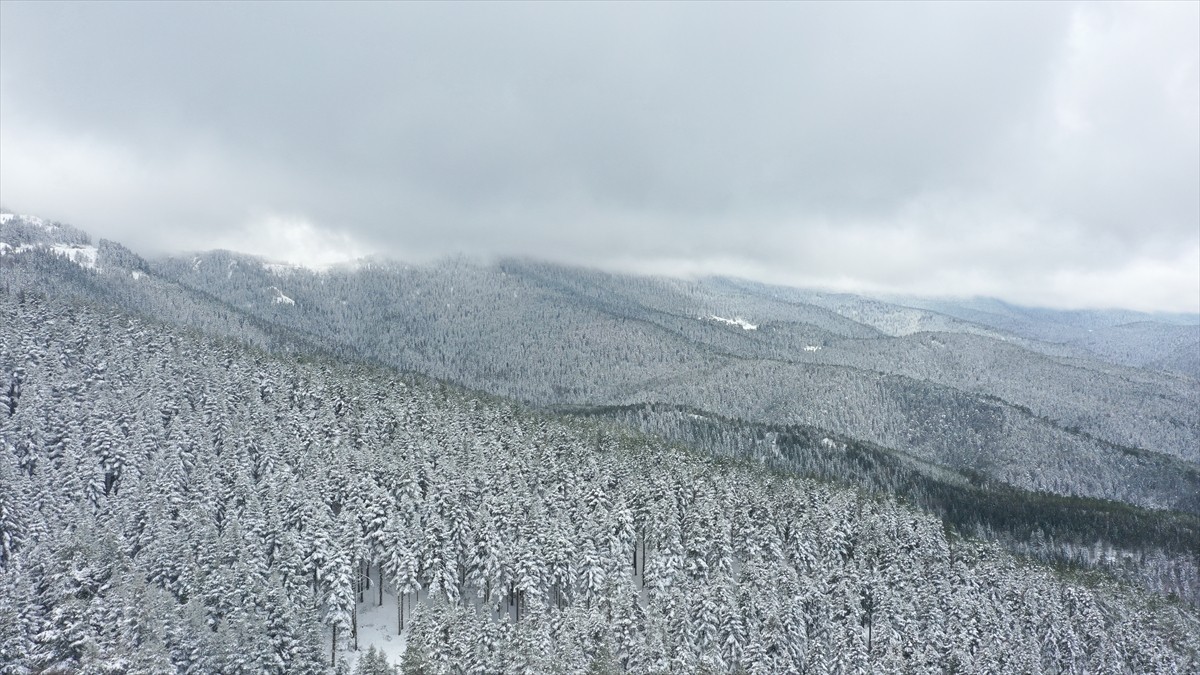Bolu’nun yüksek kesimlerinde nisan ayı ortasında etkili olan kar yağışı, bölgeyi beyaza bürüdü....