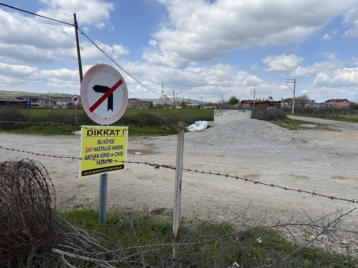 Çanakkale'nin Çan ilçesinde şap hastalığı şüphesiyle bir köyde daha karantina uygulaması...