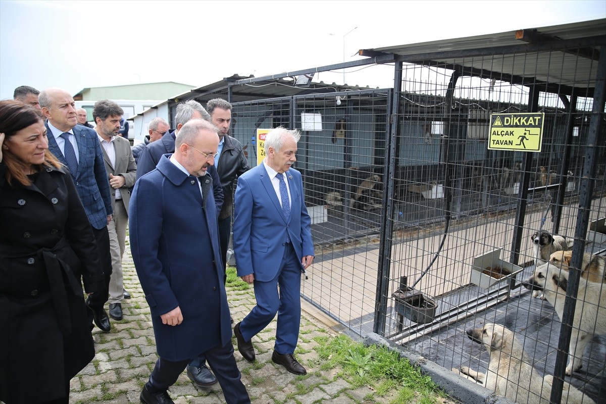 İçişleri Bakan Yardımcısı Bülent Turan (sol 3), Keşan ilçesinde Sahipsiz Sokak Hayvanları Geçici...