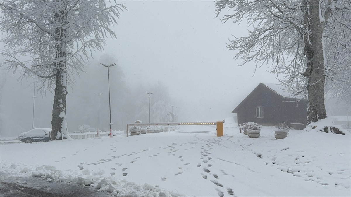 Kocaeli'nin yüksek kesimlerinde etkili olan kar yağışının ardından Kuzuyayla Tabiat Parkı beyaz...