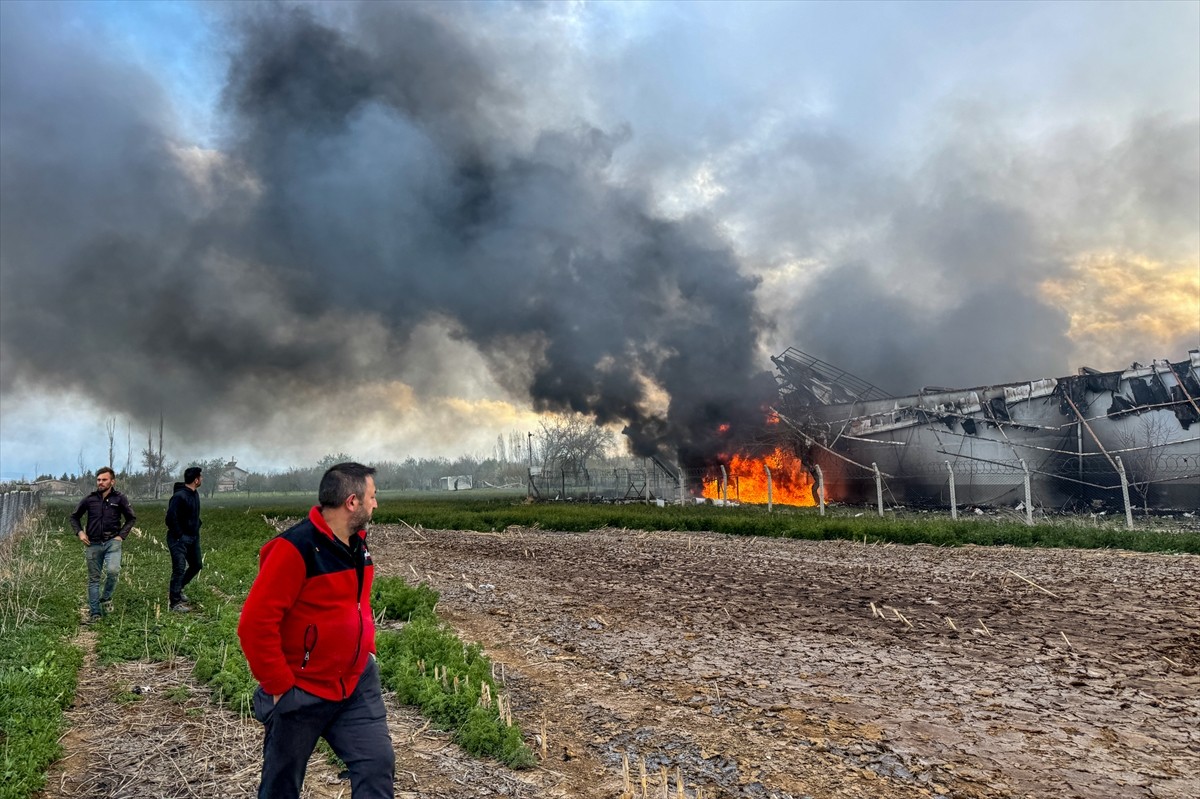 Konya'nın merkez Meram ilçesindeki bir tavuk çiftliğinde çıkan yangına itfaiye ekiplerince...