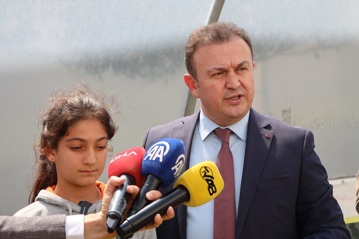 Muğla'nın Bodrum ilçesinde "Okuldaki Çiftlik Projesi" kapsamında serada yetiştirilen ürünlerin...