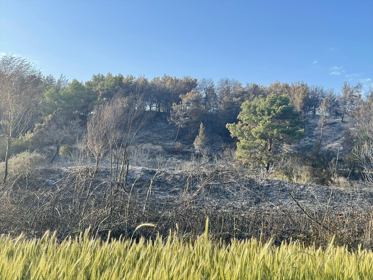Muğla'nın Seydikemer ilçesinde tarım arazisinde çıkan ve ormanlık alana sıçrayan yangın...