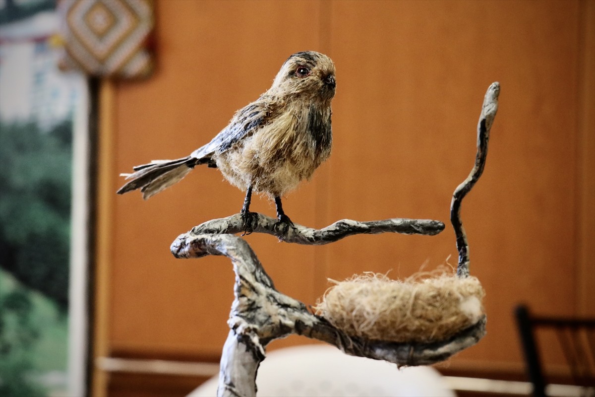 Samsun'da kadınlar, kenevir lifleri ve atıklarından süs eşyası yapıyor. Samsun Olgunlaşma...