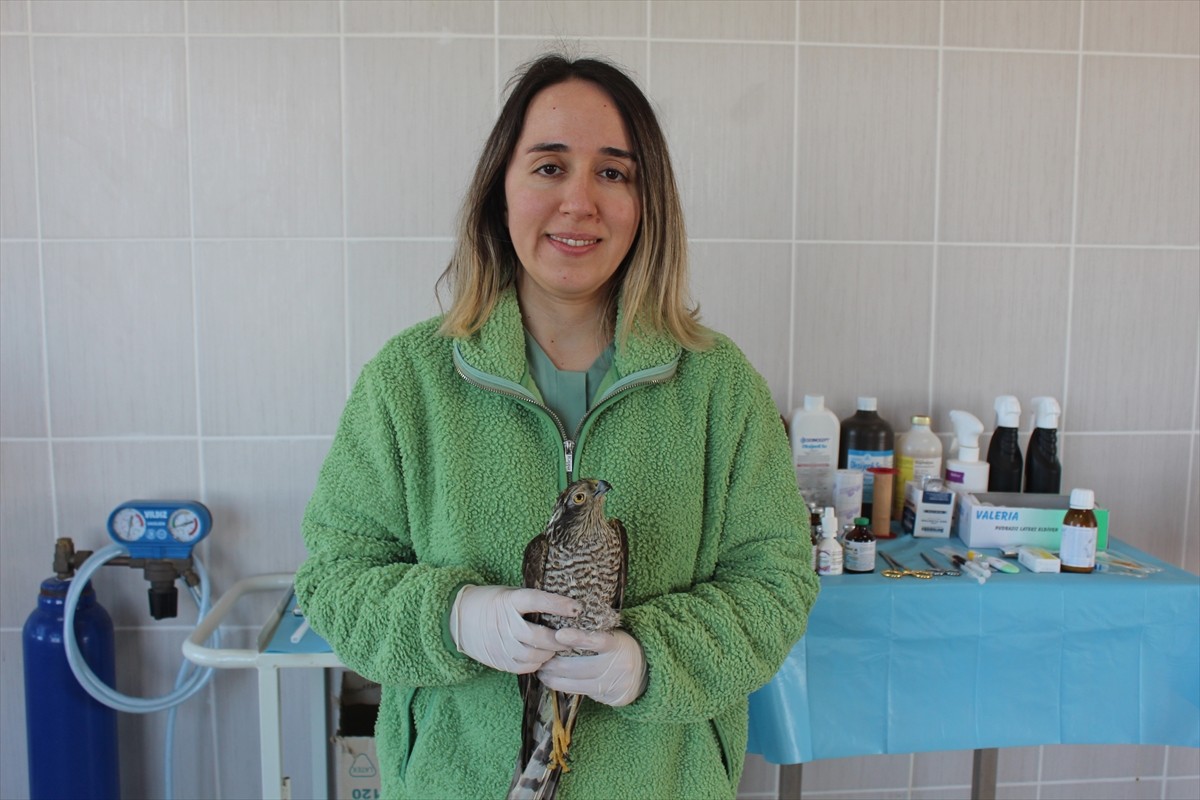 Samsun'un Bafra ilçesinde gözlerindeki enfeksiyon yüzünden görme sorunu yaşayan atmaca...