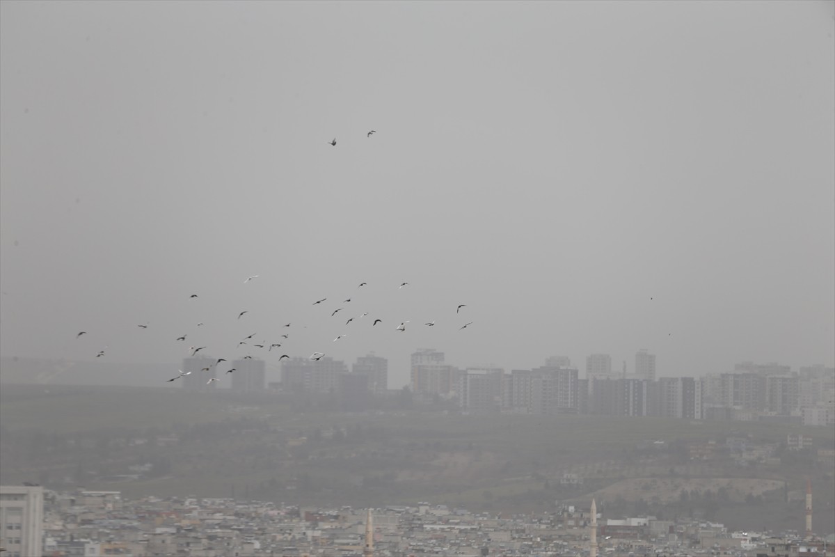 Şanlıurfa'da toz taşınımı hayatı olumsuz etkiledi, toz bulutu nedeniyle görüş mesafesi...