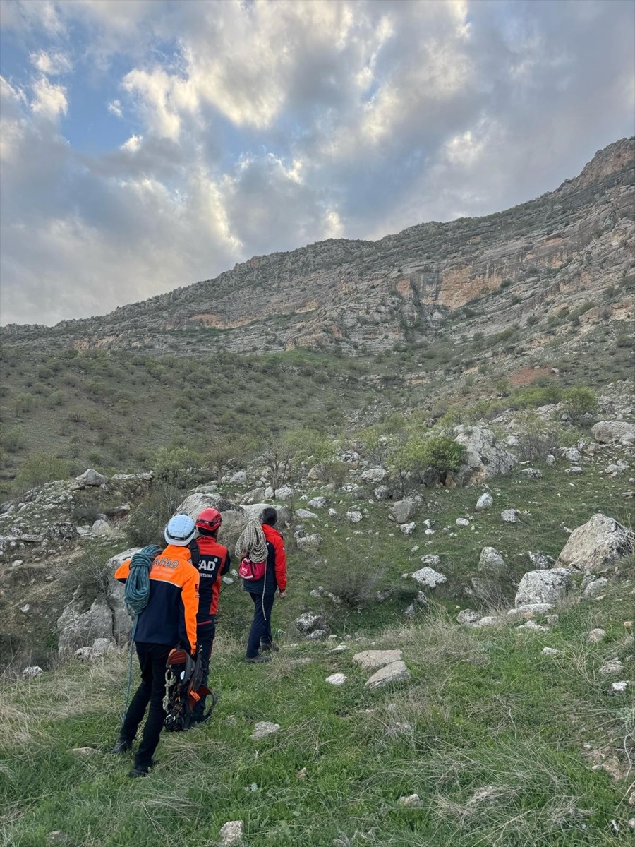 Siirt'te kayalıklarda mahsur kalan çoban, AFAD ekiplerince kurtarıldı. Uçurumda mahsur kalan...