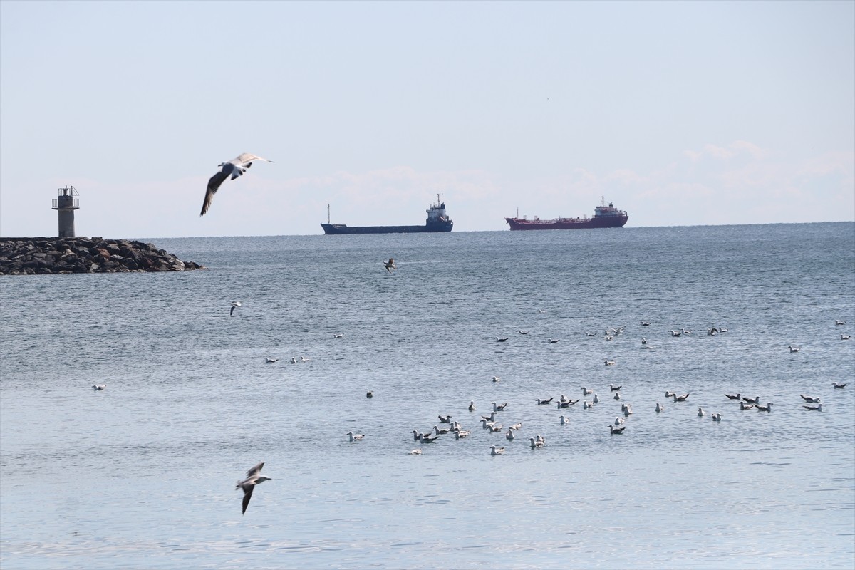 Tekirdağ'da 3 gündür süren poyrazın etkisini yitirmesiyle deniz ulaşımı normale döndü.