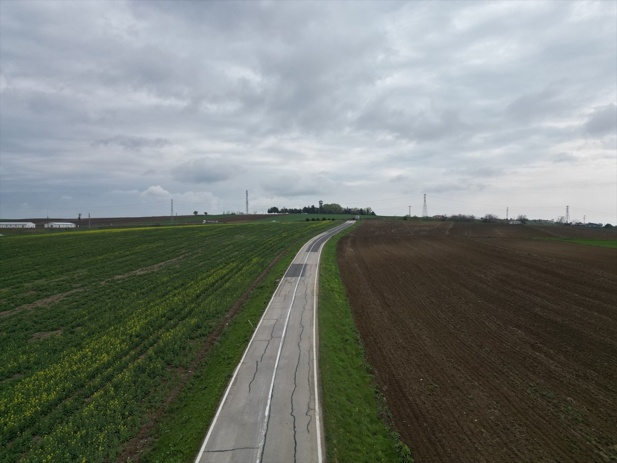 Tekirdağ'da, küresel iklim değişikliğiyle kurak dönemlerin uzaması ve yağışlardaki dengesizlik...