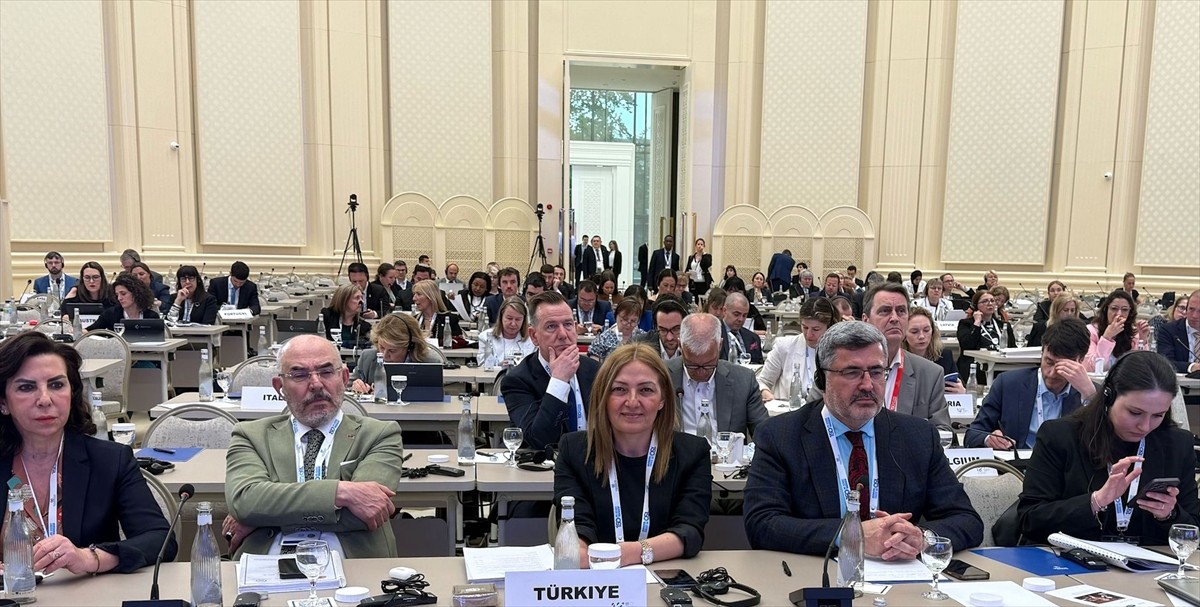 Türkiye Büyük Millet Meclisi (TBMM) PAB Türkiye Delegasyonu üyesi AK Parti Erzurum Milletvekili...