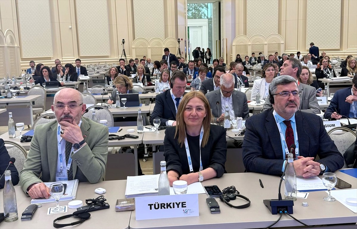 Türkiye Büyük Millet Meclisi (TBMM) PAB Türkiye Delegasyonu üyesi AK Parti Erzurum Milletvekili...