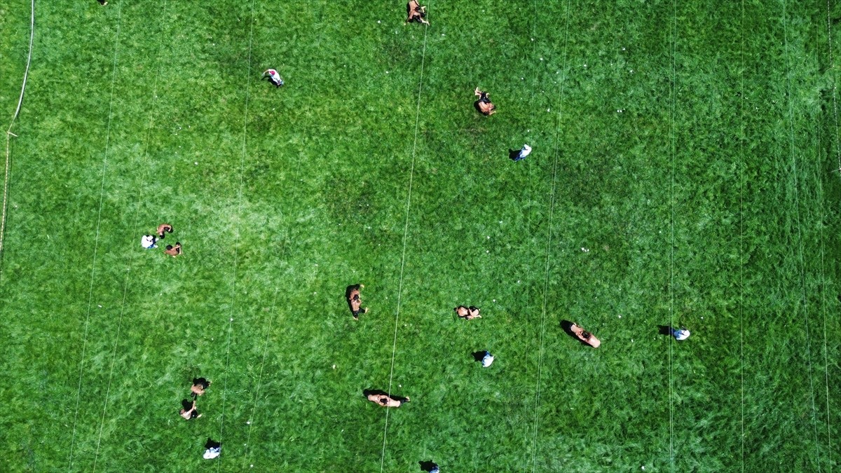Afyonkarahisar'ın Şuhut ilçesinde düzenlenen 42. Karaadilli Er Meydanı'ndaki güreşlere, 20'si...