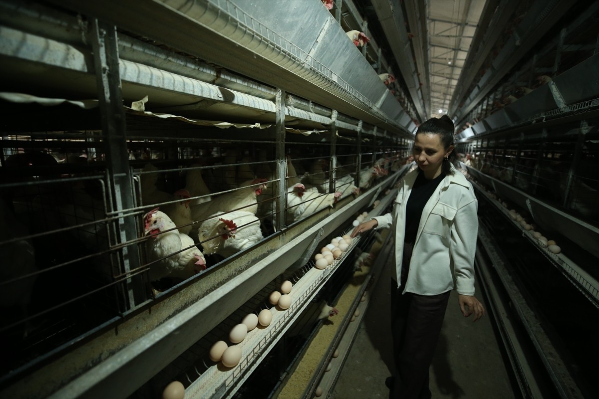 Balıkesir'de yumurtacı tavuk üretimi yapan Tarım Orman Gençlik Konseyi Üyesi Esra Özder Çakmak...