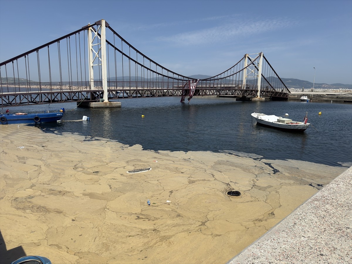 Balıkesir'in Bandırma ilçesi kıyılarında deniz yüzeyinde müsilaj görüldü. Sahildeki müsilaj...