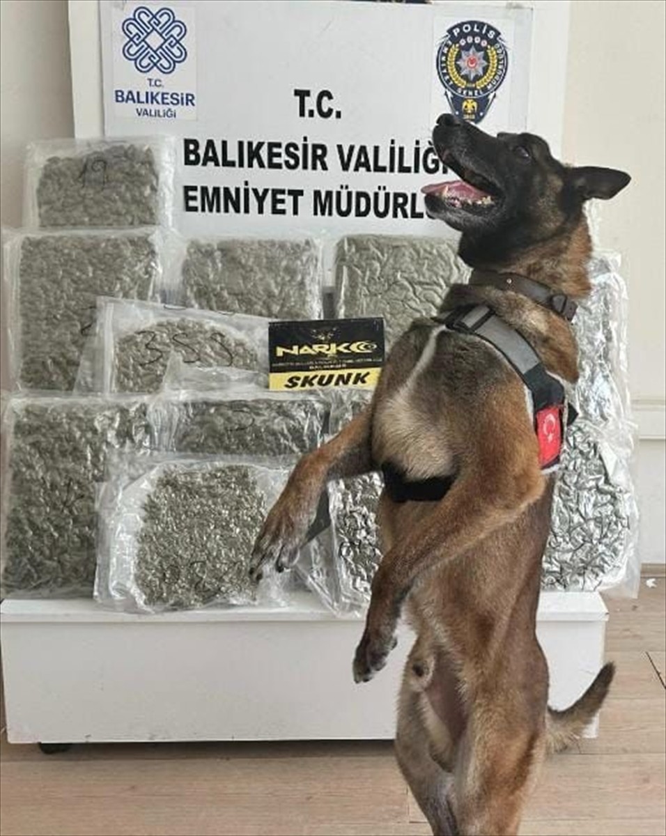 Balıkesir’de bir yolcu otobüsündeki valizde 10 kilo 350 gram esrar ele geçirildi, 1 şüpheli...