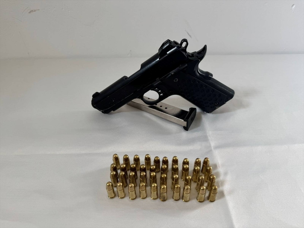 Bingöl'de uzun namlulu silah ve tabanca ele geçirildi.