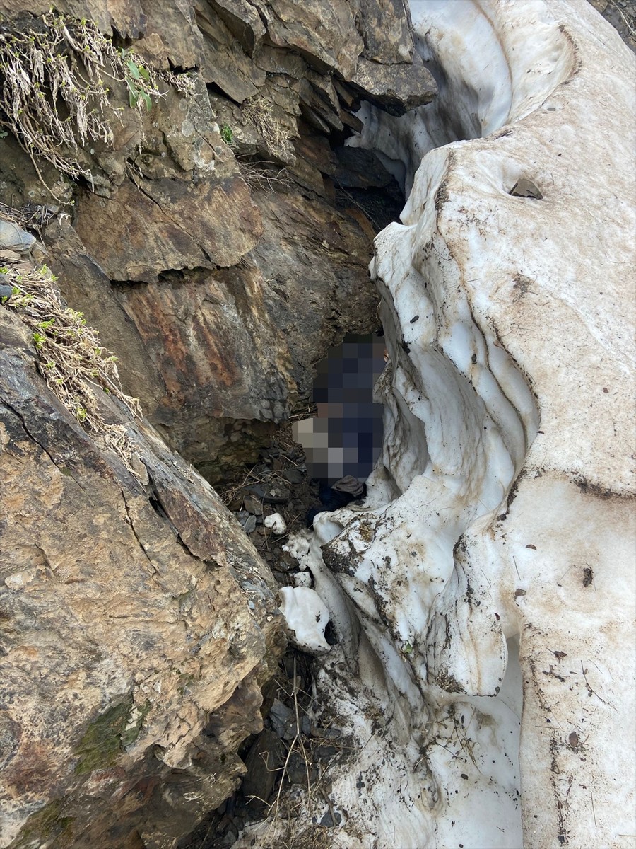Bitlis'in Hizan ilçesinde pancar toplamak için dağa giden kadın ölü bulundu.