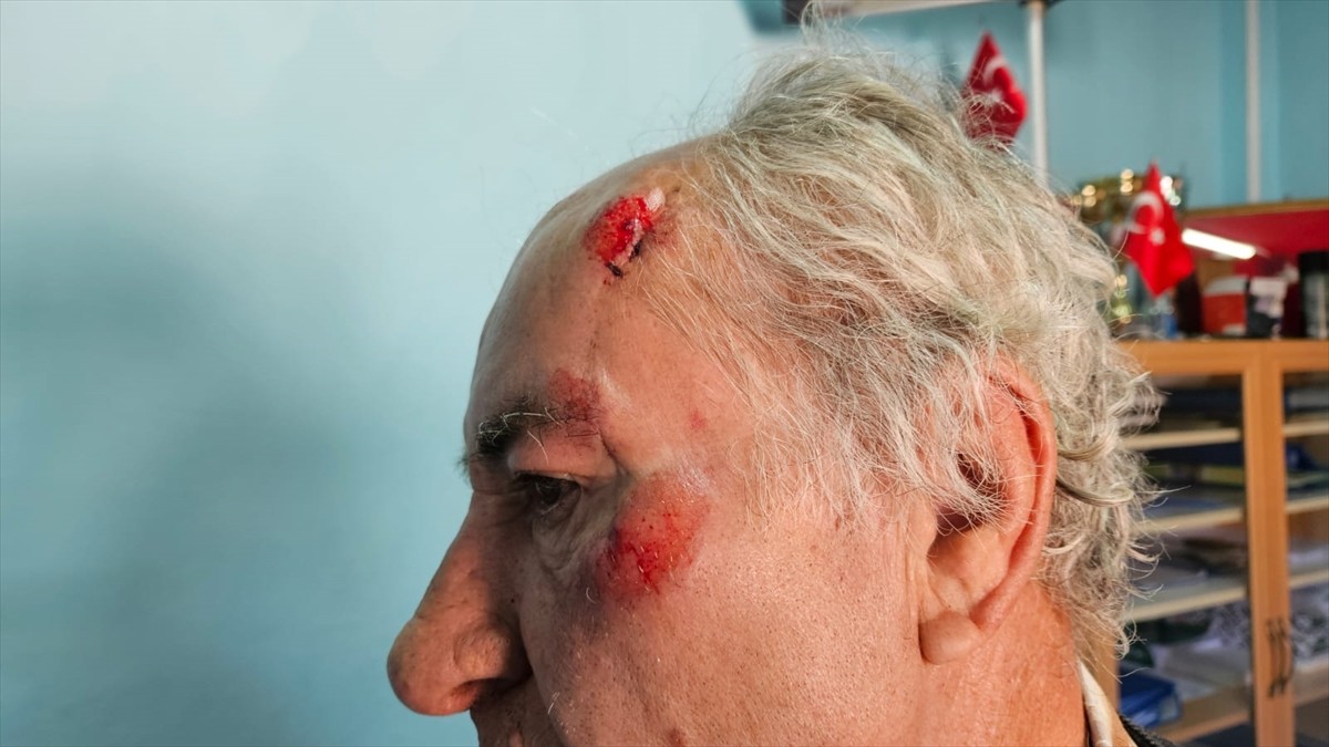 Burdur'un Yeşilova ilçesinde ekmek almak için bakkala gittiği sırada sahipsiz köpeklerin...