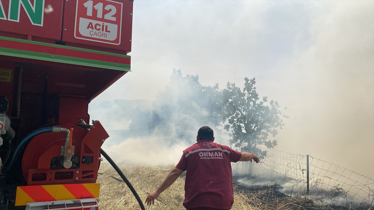 Çanakkale'nin Ezine ilçesinde arazide başlayıp ormana sıçrayan yangın söndürüldü.