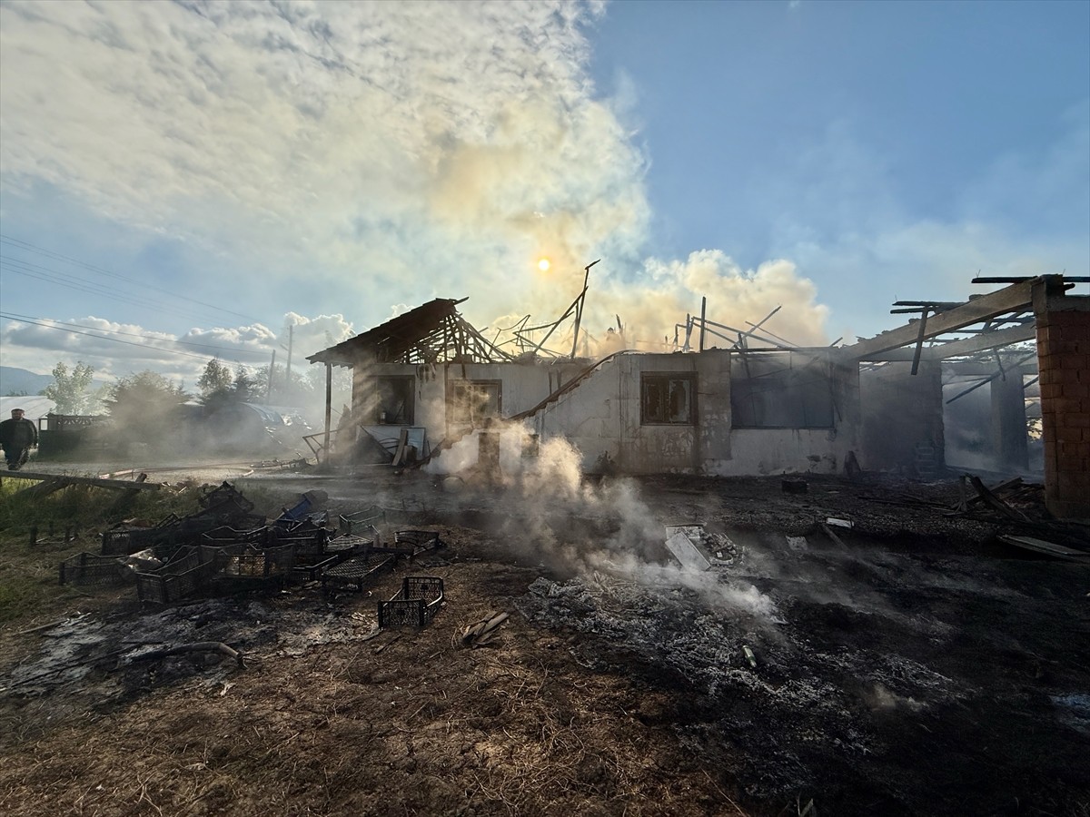 Düzce'de yangında ev, ahır ve kümes kullanılamaz hale geldi.