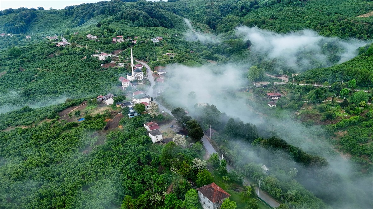 Düzce’nin Akçakoca ilçesinde bulunan Hemşin Köyü ve çevresinde sabah saatlerinde etkili olan sis, ...