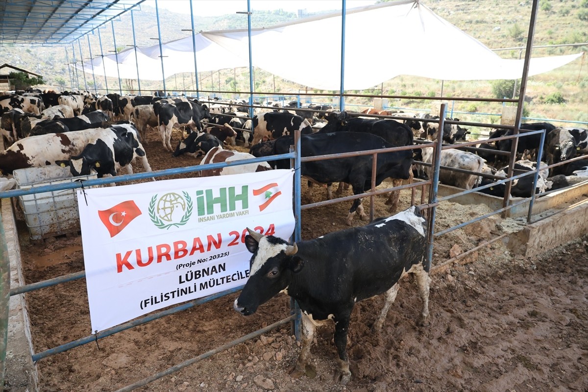İnsan Hak ve Hürriyetleri (İHH) İnsani Yardım Vakfı, kurban hisse bedelini yurt içi ve yurt...