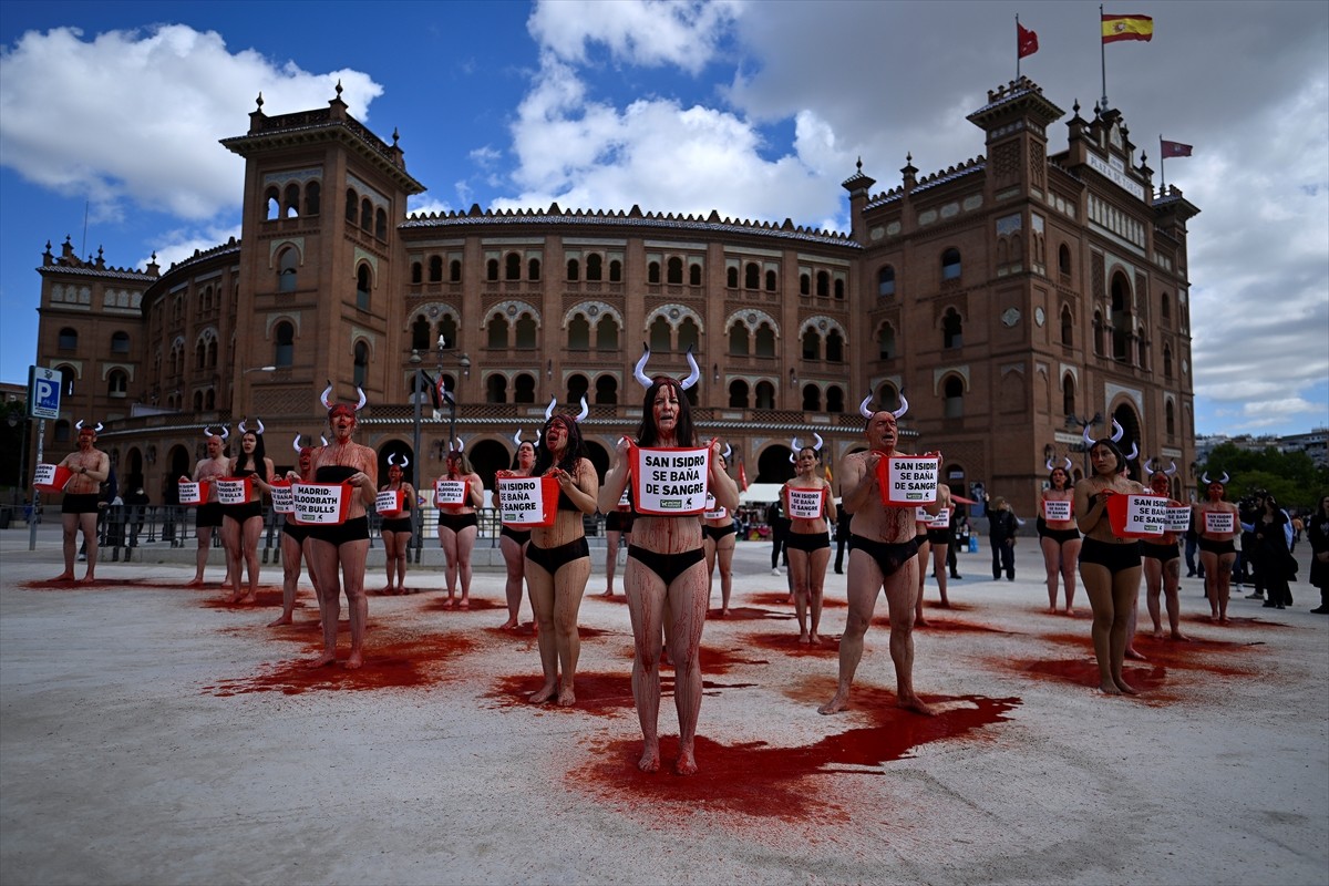 İspanya'da önde gelen iki hayvan hakları derneği Anima Naturalis ve CAS International, başkent...
