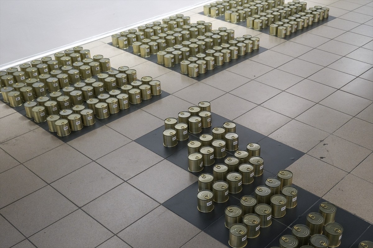 İstanbul Rotary Sanat Fonu desteğiyle hazırlanan "Hatırlama Biçimleri" sergisi, Elgiz Müzesi'nde...