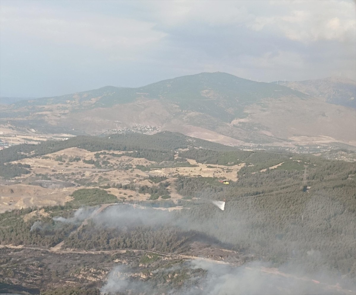 İzmir'in Aliağa ilçesindeki Horozgediği Mahallesi'nde ormanlık alanda yangın çıktı. 
