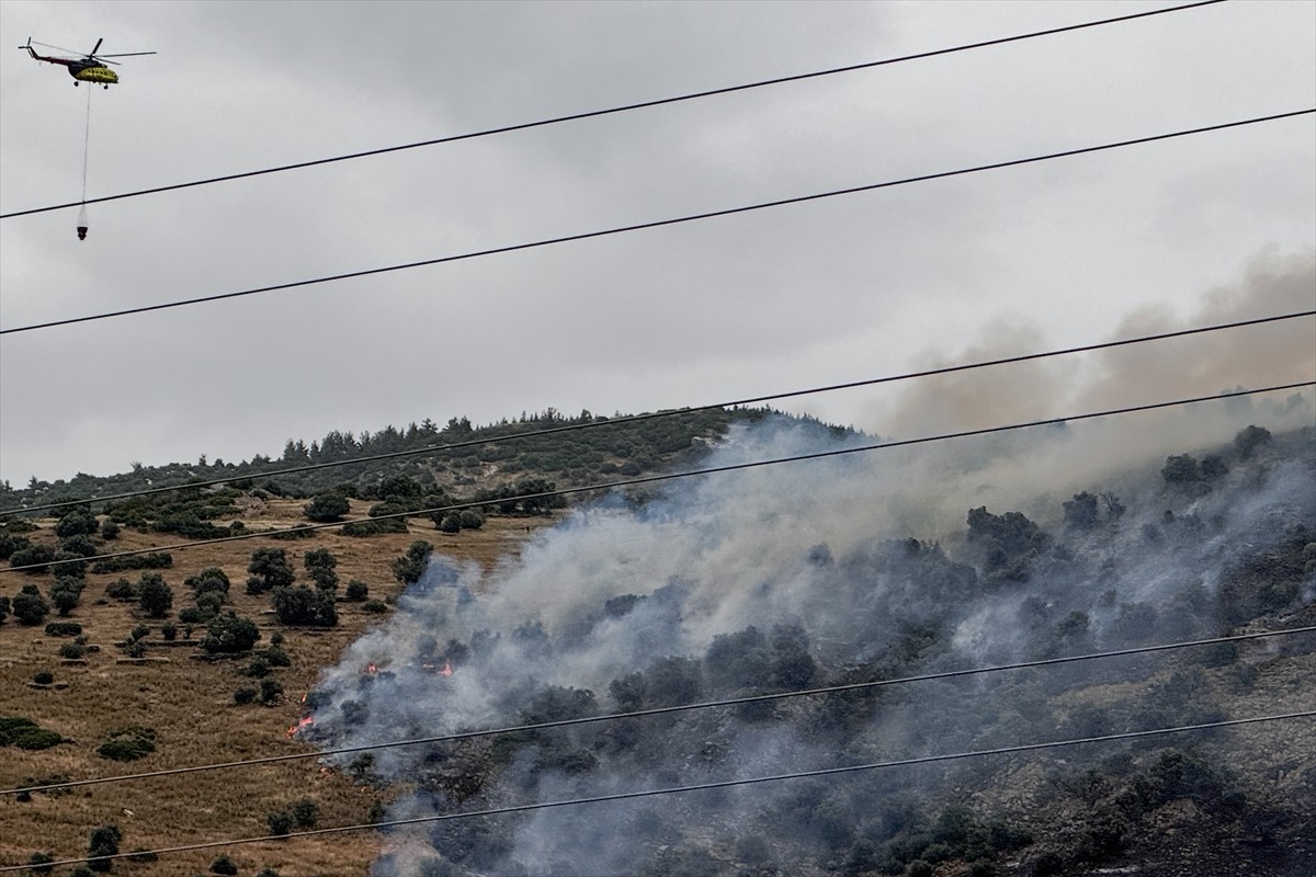 İzmir'in Bayındır ilçesinde zeytinlik alanda çıkan yangın karadan ve havadan müdahaleyle kontrol...