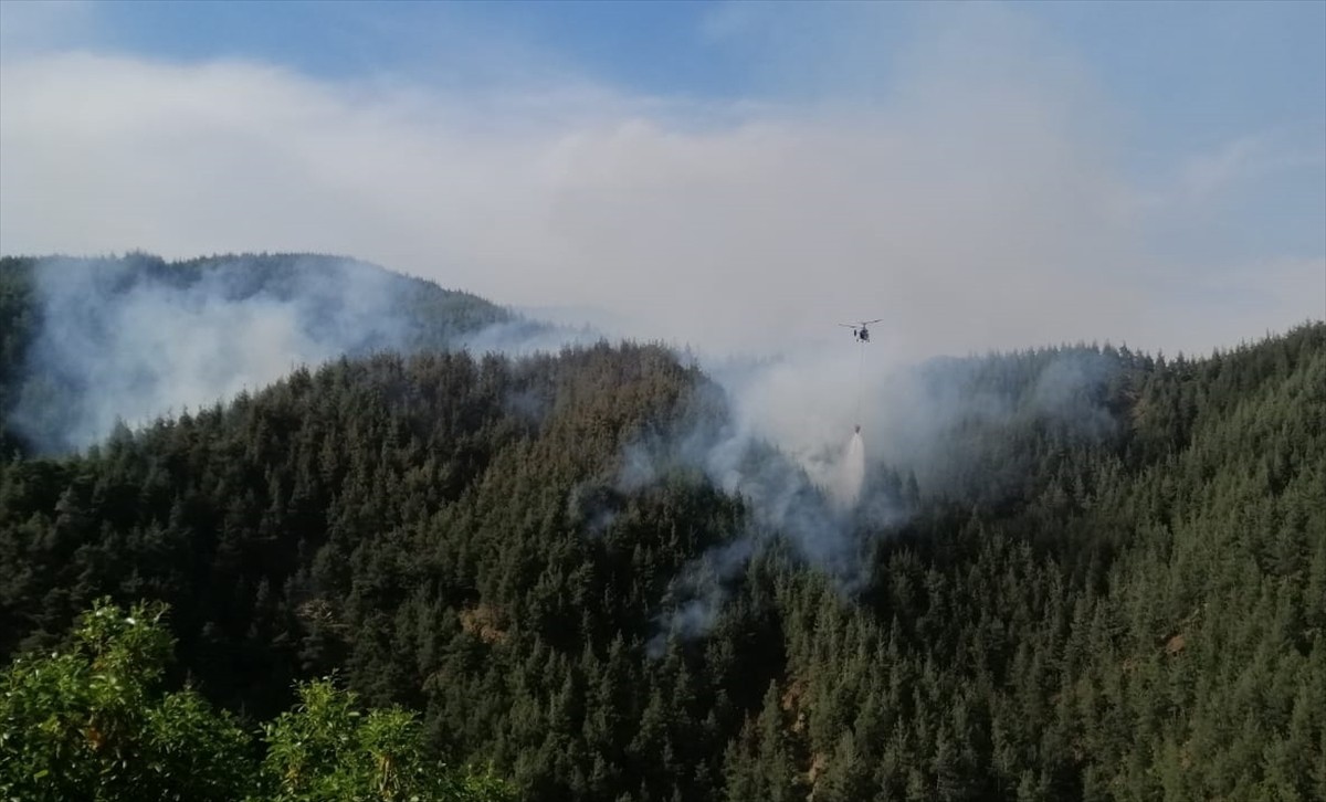 Kahramanmaraş'ın Onikişubat ilçesinde çıkan orman yangınına havadan ve karadan müdahale...