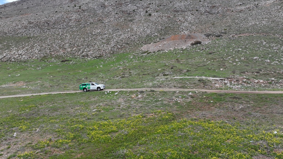 Kayseri'de jandarma ekipleri, bulunduğu bölgenin ekolojik şartları nedeniyle yalnızca belirli...
