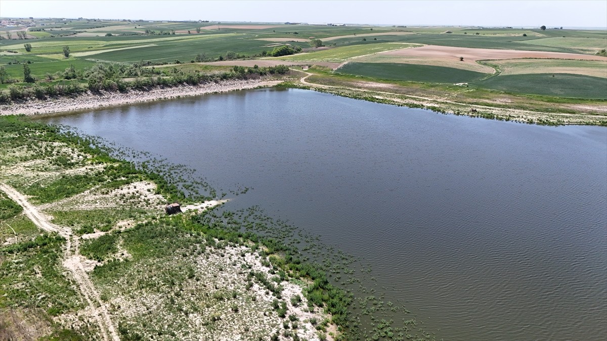 Kırklareli'nin Babaeski ilçesinde gölete hayvan atığı bıraktığı iddia edilen bir işletmeye 668 bin...
