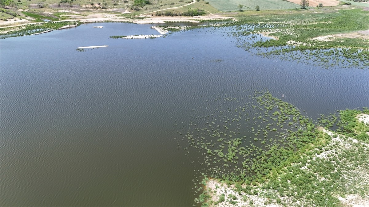 Kırklareli'nin Babaeski ilçesinde gölete hayvan atığı bıraktığı iddia edilen bir işletmeye 668 bin...