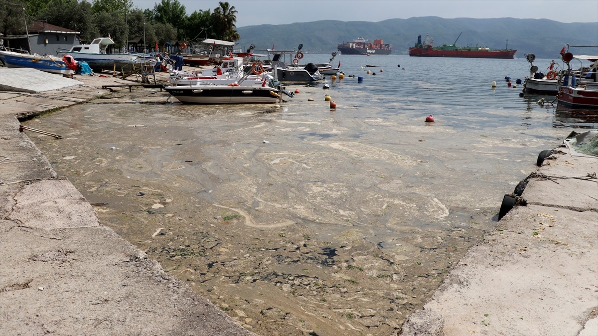 Kocaeli'nin Körfez ilçesindeki balıkçı barınağında denizde oluşan köpüksü tabakanın temizlenmesi...